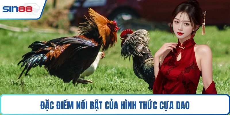 Đặc điểm nổi bật của hình thức cựa dao