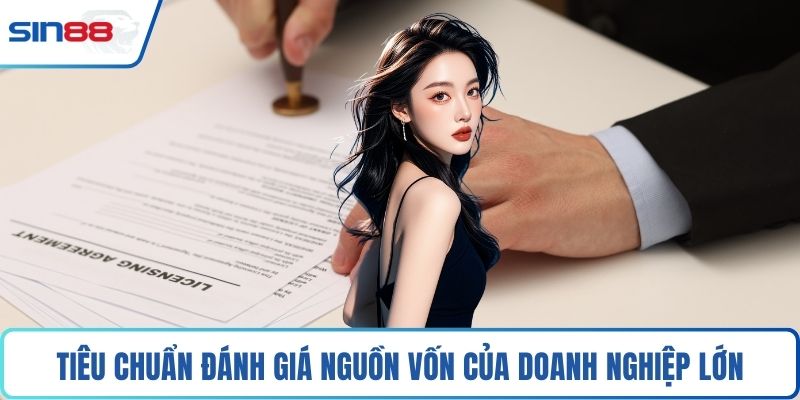 Tiêu chuẩn đánh giá nguồn vốn của doanh nghiệp lớn